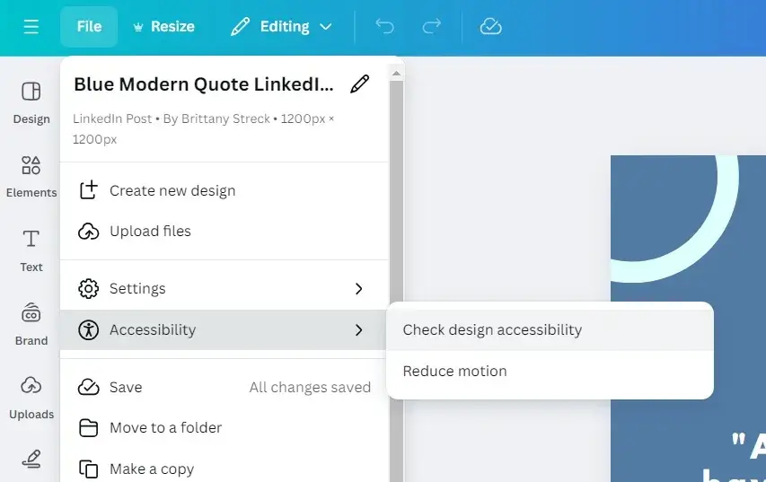A screenshot of the accessibility tools in Canva.