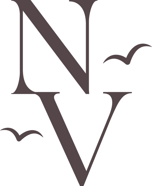 The Novel View logo mark shows the letters N V stacked with two mini bird silhouettes.